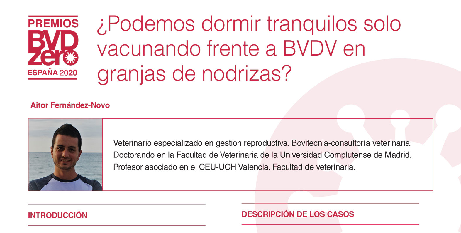 2020_bvd_awards_1o_aitor_fernandez_novo_completo